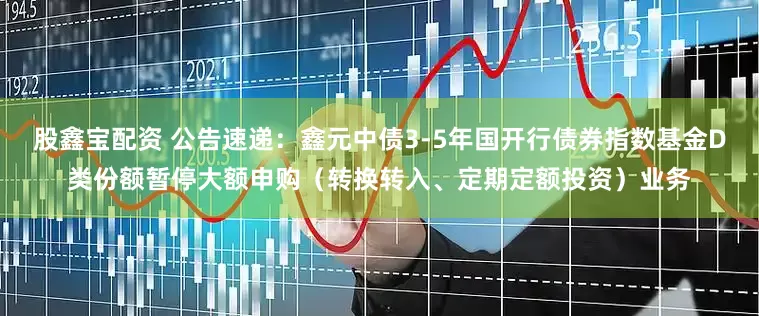 股鑫宝配资 公告速递：鑫元中债3-5年国开行债券指数基金D类份额暂停大额申购（转换转入、定期定额投资）业务